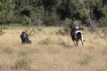 Indian and Soldier Doing Battle