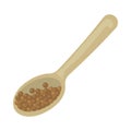 indian spice Coriander Spoon Seed Royalty Free Stock Photo