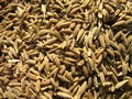 Indian Spice - Cumin Seeds Royalty Free Stock Photo