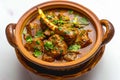 Indian spice Mutton Masala or Gosht Rogan Josh with Naan