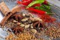 Indian spices Royalty Free Stock Photo