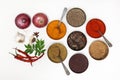 Indian Spices in bowls. Dry Spices with garlic,green chili and onions