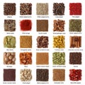 Indian spices collection Royalty Free Stock Photo