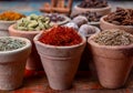 Indian spices collection, dried colorful condiment, nuts, pods and seeds and another spices in clay bowls Royalty Free Stock Photo