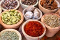 Indian spices collection, dried colorful condiment, nuts, pods and seeds and another spices in clay bowls Royalty Free Stock Photo