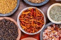 Indian spices collection, dried colorful condiment, nuts, pods and seeds and another spices in clay bowls Royalty Free Stock Photo