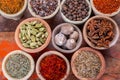 Indian spices collection, dried colorful condiment, nuts, pods and seeds and another spices in clay bowls Royalty Free Stock Photo