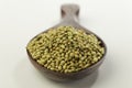 Indian spices-Coriander seeds.