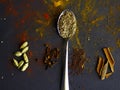 Indian spices, Cumin seeds on spoon, mustard seeds, cinnamon, cardamon and cloves