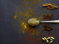 Indian spices, Cumin seeds on spoon, mustard seeds, cinnamon, cardamon and cloves