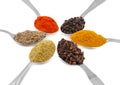 Indian Spices in Spoons on White Background Royalty Free Stock Photo