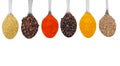 Indian Spices in Spoons on White Background Royalty Free Stock Photo