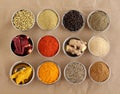 Indian Spices and Powders or Ingredients to Flavor Food