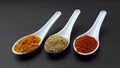 indian spices turmeric powder coriander powder and red chili powder