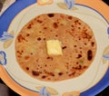 Indian Spicy Aloo Paratha