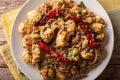 Indian spicy chettinad chicken curry with chili pepper closeup o
