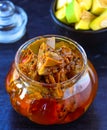 Indian spicy condiments - Mango pickle Royalty Free Stock Photo