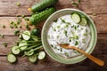 Indian spicy sauce raita with herbs and cucumber close-up in a b Royalty Free Stock Photo