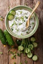 Indian spicy sauce raita with herbs and cucumber close-up in a b Royalty Free Stock Photo