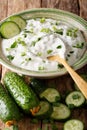 Indian spicy sauce raita with herbs and cucumber close-up in a b Royalty Free Stock Photo