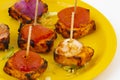 Indian Starter Dish Paneer Tikka Kabab or Barbecue Paneer Tikka Kabab Royalty Free Stock Photo