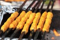 Indian street Food: Chicken Kawab Royalty Free Stock Photo