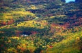 Indian summer, Acadia Park, Maine