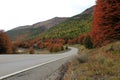 Indian Summer. Beautiful colored trees, forest, along Carretera Austral, Chile