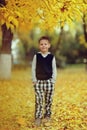 Indian summer and a boy Royalty Free Stock Photo