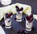 Indian summer drink Lassi made from frozen yogurt and topped with black grapes.Closeup. Royalty Free Stock Photo