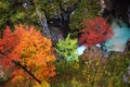 Colorful Fall Trees In Gorge By Rushing Glacial Stream High-angle