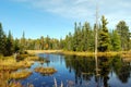 Indian summer at a lake in Algonquin Provincial Park near Toronto in autumn, Canada Royalty Free Stock Photo