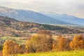 Fall in Oppdal, Norway Royalty Free Stock Photo