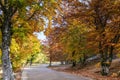 Indian Summer Royalty Free Stock Photo