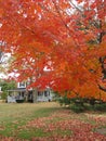 Indian summer new england Royalty Free Stock Photo
