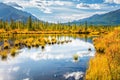 Indian summer in the Rockies Royalty Free Stock Photo