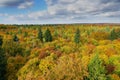 Indian summer trees with blue sky