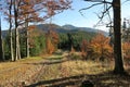 Indian summer in the woods with summit of Lasa hora in Beskydy mountains Royalty Free Stock Photo