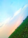 Indian sunset view in sugarcane farm.