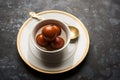 Indian sweet Gulab Jamun served in a ceramic bowl, selective focus Royalty Free Stock Photo