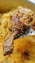 Indian Tamilnadu chicken Briyani meat