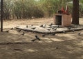 Indian Temple with many pigeon