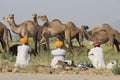 Indian three men attended the annual Pushkar Camel Mela. India
