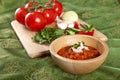 Indian tomato dip Royalty Free Stock Photo