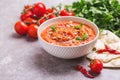 Indian Tomato Rasam with lentil, mint, cilantro and cashew Royalty Free Stock Photo