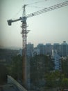 Indian tower crane . Use for the lifting and shifting matarrail