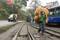 Indian Toy Train