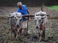 Indian traditional Agriculture