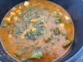 Indian traditional creamy delicious curry with paneer ,looks awesome.
