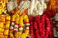 Indian traditional flowers